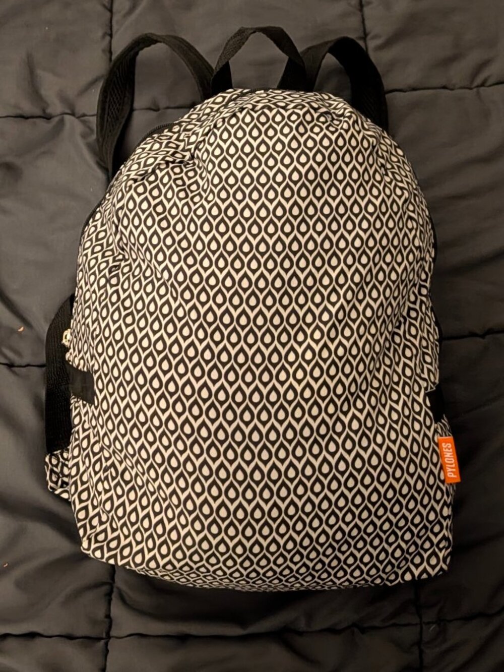 Pylones Designer Backpack, New, 12" x 14"